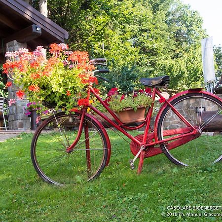 Il Casolare Bioenergetico Bed and Breakfast Albareto  Exteriör bild