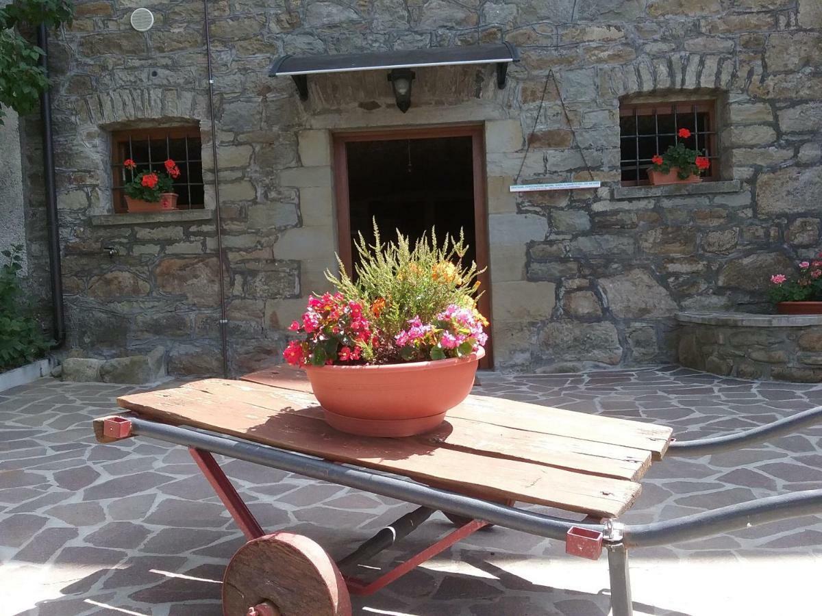 Il Casolare Bioenergetico Bed and Breakfast Albareto  Exteriör bild